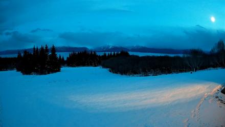 Homer Alaska Northern Lights Live Cam - Nov 26, 2025, 5:14pm AKST