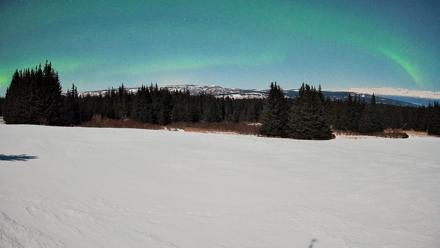 Homer Alaska Northern Lights Live Cam - Feb 25, 2026, 11:48pm AKST