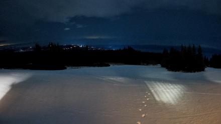 Homer Alaska Northern Lights Live Cam - Jan 17, 2026, 8:07pm AKST