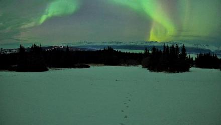 Homer Alaska Northern Lights Live Cam - Jan 20, 2026, 10:29pm AKST