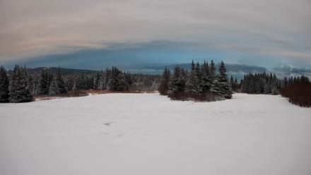 Homer Alaska Northern Lights Live Cam - Jan 5, 2026, 3:40pm AKST