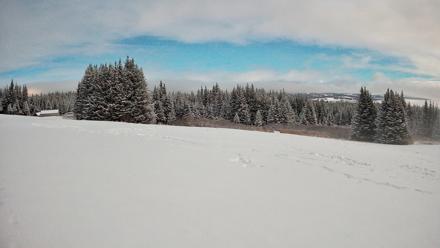 Homer Alaska Northern Lights Live Cam - Jan 6, 2026, 12:10am AKST