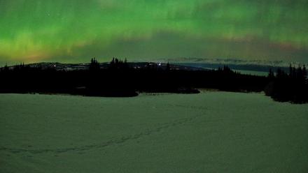Homer Alaska Northern Lights Live Cam - Feb 22, 2026, 12:15am AKST