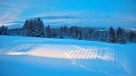 Homer Alaska Northern Lights Live Cam - Jan 9, 2026, 6:52pm AKST