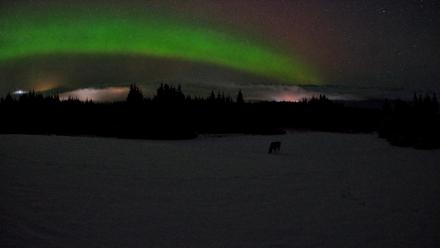 Homer Alaska Northern Lights Live Cam - Feb 19, 2026, 3:26am AKST