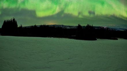 Homer Alaska Northern Lights Live Cam - Mar 22, 2026, 4:45am AKDT