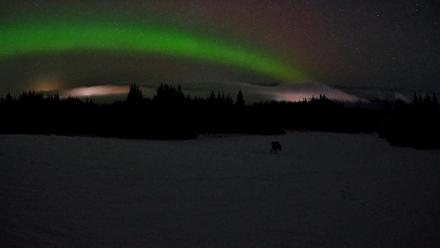 Homer Alaska Northern Lights Live Cam - Feb 19, 2026, 3:18am AKST