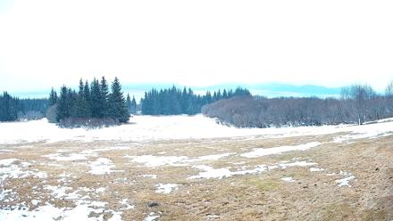 Homer Alaska Northern Lights Live Cam - Apr 4, 2026, 11:33pm AKDT