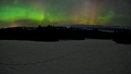 Homer Alaska Northern Lights Live Cam - Feb 22, 2026, 5:39am AKST