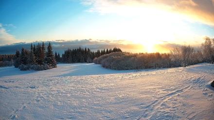 Homer Alaska Northern Lights Live Cam - Jan 14, 2026, 10:31am AKST