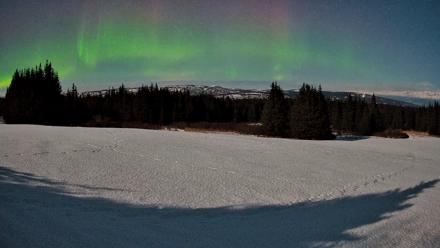 Homer Alaska Northern Lights Live Cam - Feb 25, 2026, 1:22am AKST
