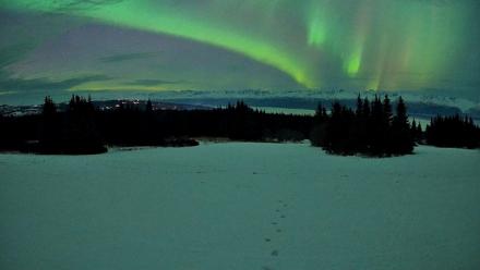 Homer Alaska Northern Lights Live Cam - Jan 20, 2026, 9:58pm AKST
