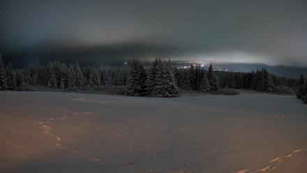 Homer Alaska Northern Lights Live Cam - Jan 11, 2026, 7:26pm AKST