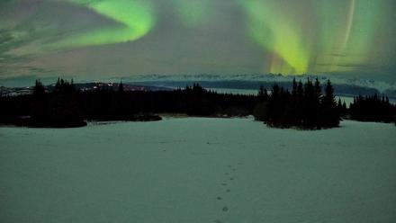 Homer Alaska Northern Lights Live Cam - Jan 20, 2026, 10:24pm AKST