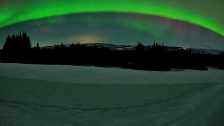 Homer Alaska Northern Lights Live Cam - Feb 21, 2026, 10:18pm AKST