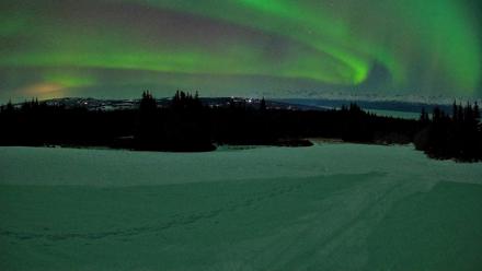 Homer Alaska Northern Lights Live Cam - Feb 21, 2026, 10:32pm AKST