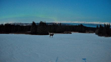 Homer Alaska Northern Lights Live Cam - Mar 23, 2026, 10:02pm AKDT