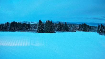 Homer Alaska Northern Lights Live Cam - Feb 11, 2026, 6:37pm AKST