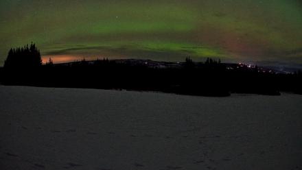 Homer Alaska Northern Lights Live Cam - Mar 13, 2026, 11:32pm AKDT