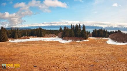 Homer Alaska Northern Lights Live Cam - Apr 21, 2026, 1:17pm AKDT