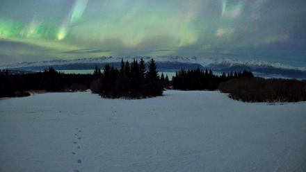 Homer Alaska Northern Lights Live Cam - Jan 20, 2026, 11:13pm AKST