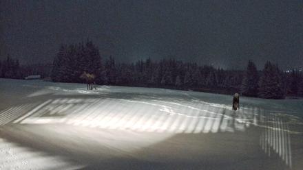 Homer Alaska Northern Lights Live Cam - Jan 5, 2026, 10:00pm AKST