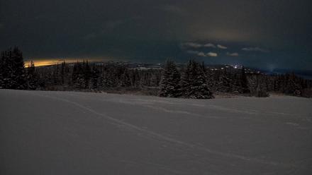 Homer Alaska Northern Lights Live Cam - Jan 14, 2026, 11:20pm AKST