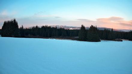 Homer Alaska Northern Lights Live Cam - Feb 19, 2026, 5:53pm AKST