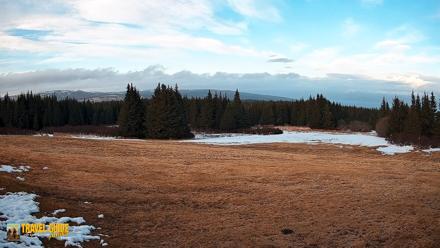 Homer Alaska Northern Lights Live Cam - Apr 19, 2026, 8:21pm AKDT