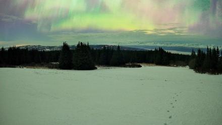 Homer Alaska Northern Lights Live Cam - Jan 20, 2026, 5:50am AKST
