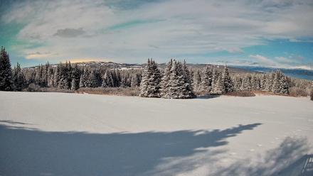 Homer Alaska Northern Lights Live Cam - Jan 28, 2026, 2:13am AKST