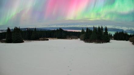 Homer Alaska Northern Lights Live Cam - Jan 20, 2026, 4:52am AKST