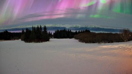 Homer Alaska Northern Lights Live Cam - Jan 20, 2026, 7:20am AKST