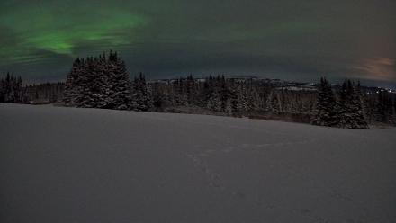 Homer Alaska Northern Lights Live Cam - Jan 10, 2026, 10:02am AKST