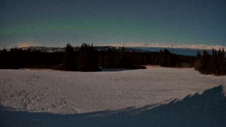 Homer Alaska Northern Lights Live Cam - Mar 26, 2026, 3:14am AKDT