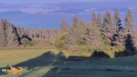 Homer Alaska Northern Lights Live Cam - Aug 26, 2026, 7:50pm AKDT