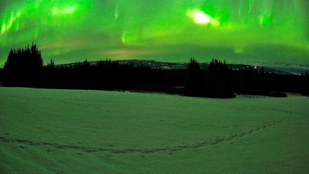 Homer Alaska Northern Lights Live Cam - Feb 21, 2026, 11:34pm AKST