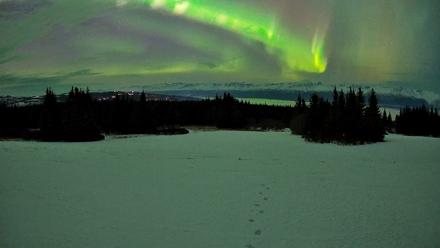 Homer Alaska Northern Lights Live Cam - Jan 20, 2026, 10:06pm AKST