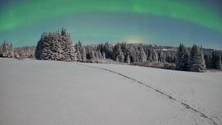 Homer Alaska Northern Lights Live Cam - Jan 8, 2026, 2:39am AKST