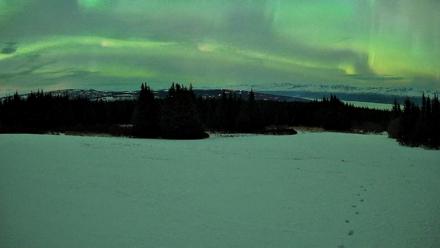 Homer Alaska Northern Lights Live Cam - Jan 20, 2026, 11:13pm AKST