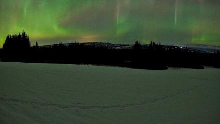 Homer Alaska Northern Lights Live Cam - Feb 22, 2026, 12:24am AKST