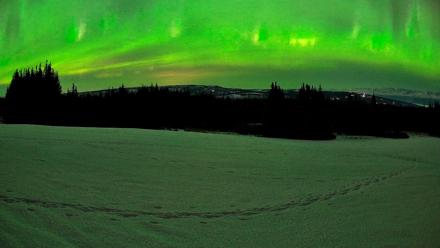 Homer Alaska Northern Lights Live Cam - Feb 21, 2026, 11:30pm AKST