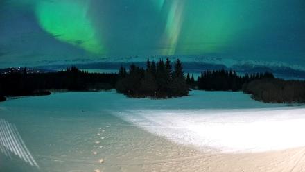 Homer Alaska Northern Lights Live Cam - Jan 20, 2026, 9:50pm AKST