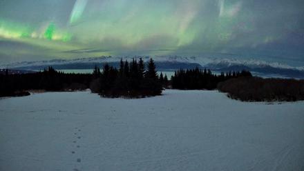 Homer Alaska Northern Lights Live Cam - Jan 20, 2026, 11:07pm AKST
