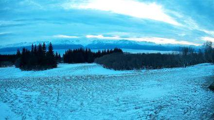 Homer Alaska Northern Lights Live Cam - Dec 29, 2025, 9:33am AKST