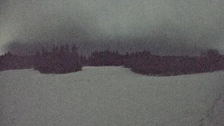 Homer Alaska Northern Lights Live Cam - Nov 27, 2025, 12:29am AKST