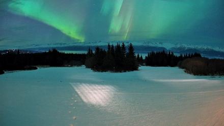 Homer Alaska Northern Lights Live Cam - Jan 20, 2026, 9:52pm AKST