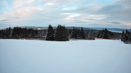 Homer Alaska Northern Lights Live Cam - Feb 11, 2026, 5:24pm AKST