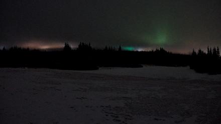 Homer Alaska Northern Lights Live Cam - Apr 5, 2026, 3:12am AKDT