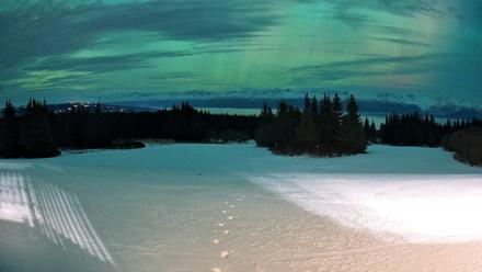 Homer Alaska Northern Lights Live Cam - Jan 20, 2026, 7:55pm AKST